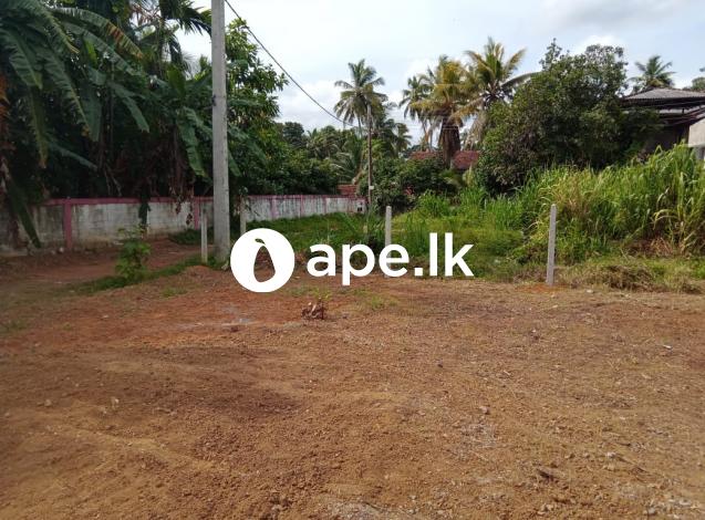 Land for sale nittabuwa